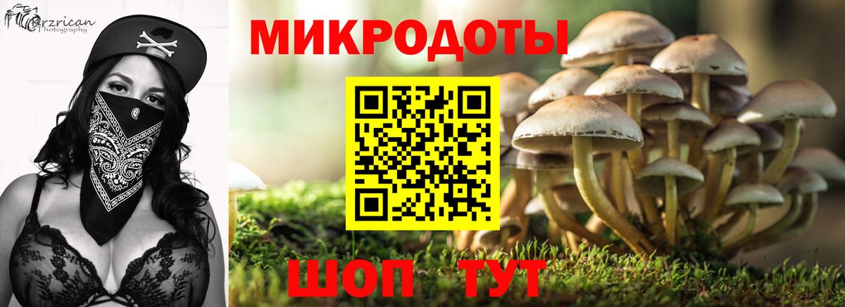 Галлюциногенные грибы MAGIC MUSHROOMS  Вход с VPN  Грязи 