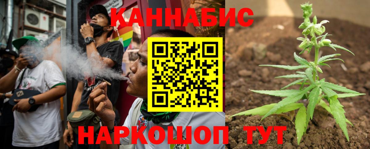 Бошки Шишки конопля Грязи